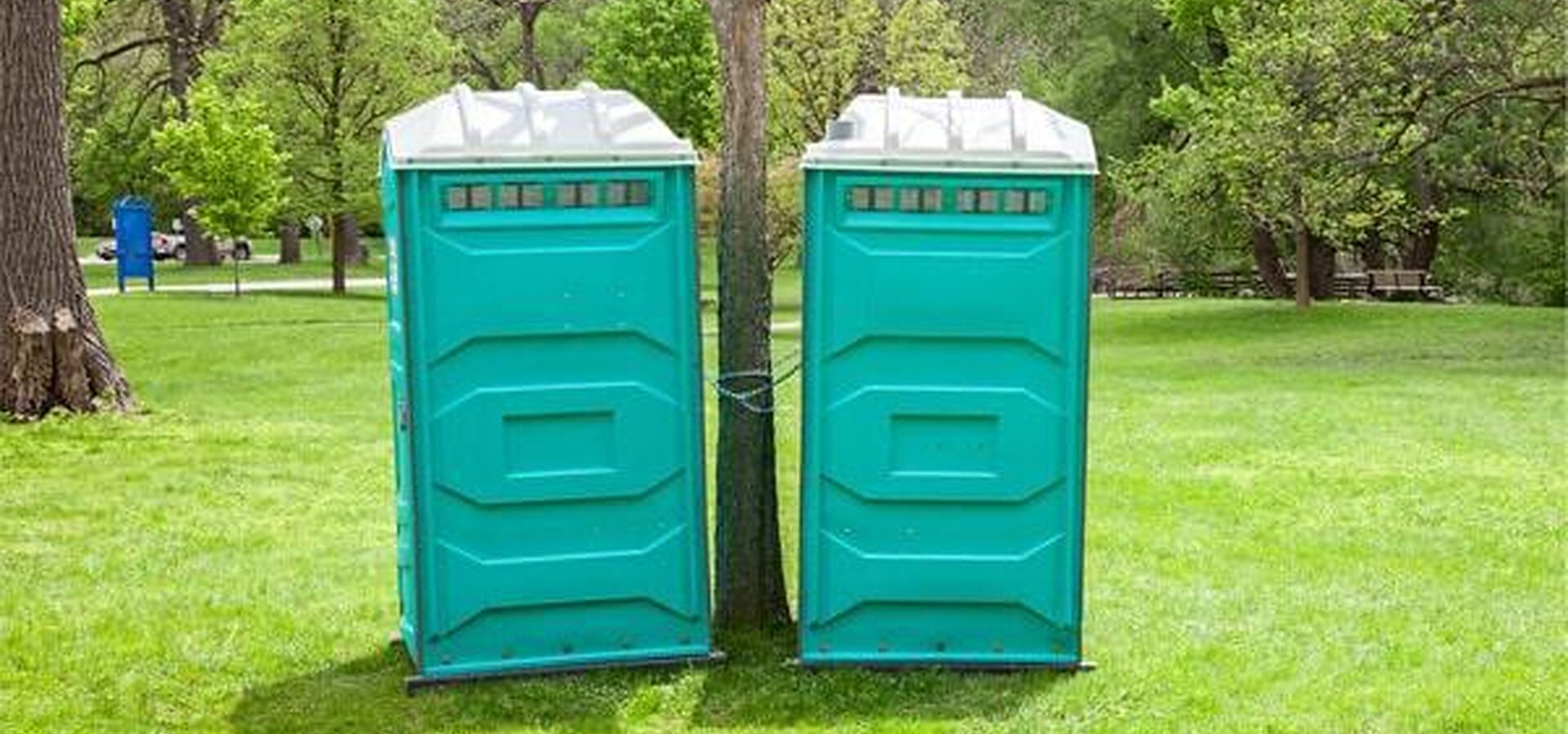 Portable restrooms placed discreetly at a corporate outdoor event in a park